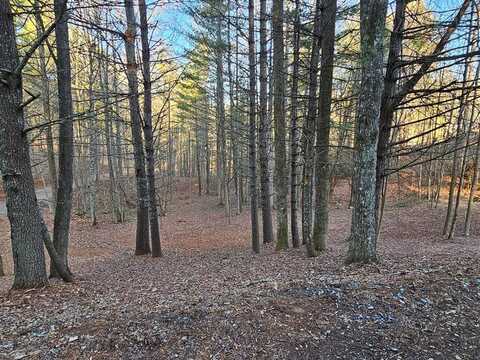 16 Merlin Trail, Murphy, NC 28906