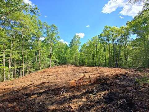 Lot 3 Megan Trace Drive, Turtletown, TN 37391