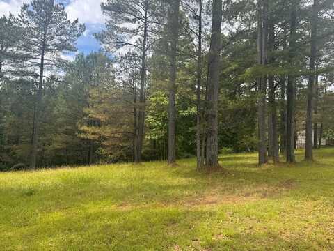 Lot 45 Sweetwater Lane, Blairsville, GA 30512
