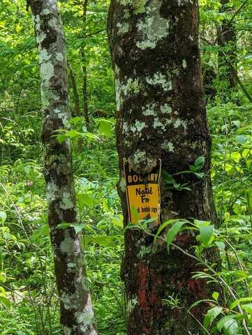 Buck Creek Trail, Epworth, GA 30541