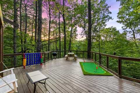 87 Rustic Ridge, Blue Ridge, GA 30513