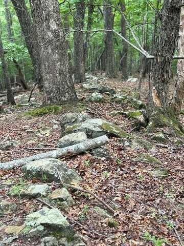 Walker Drive, Morganton, GA 30513