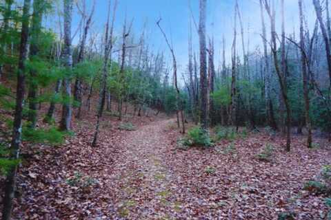 Lt 23 Shelton Springs S/D, Hayesville, NC 28904