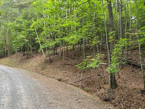 Lt2788 Medina Court, Ellijay, GA 30540