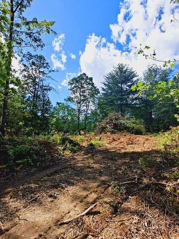 Lot 4 Megan Trace Drive, Turtletown, TN 37391