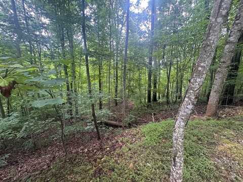Lot 31 Highland Forge Lane, Blairsville, GA 50512
