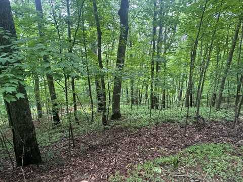 Lot 31 Highland Forge Lane, Blairsville, GA 50512