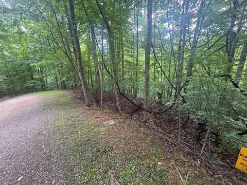 Lot 31 Highland Forge Lane, Blairsville, GA 50512