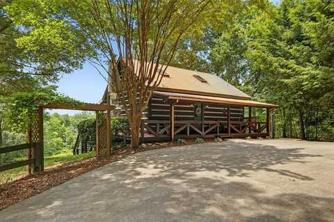 212 Dogpatch Lane, Blue Ridge, GA 30513