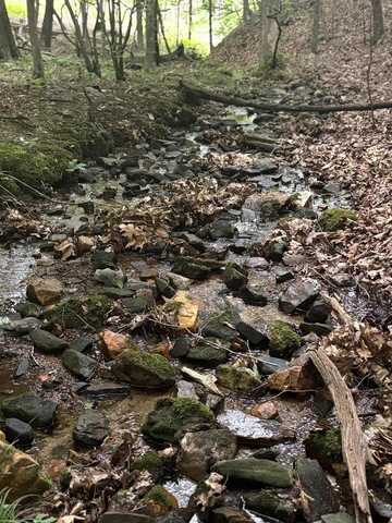 Walker Drive, Morganton, GA 30560