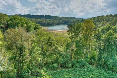 8.04 Ac Collins Road, Morganton, GA 30560