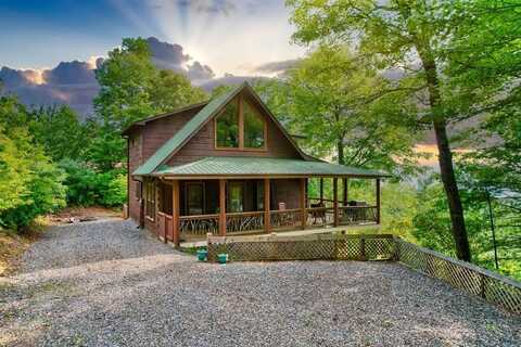 100 Wintermute Drive, Mineral Bluff, GA 30559