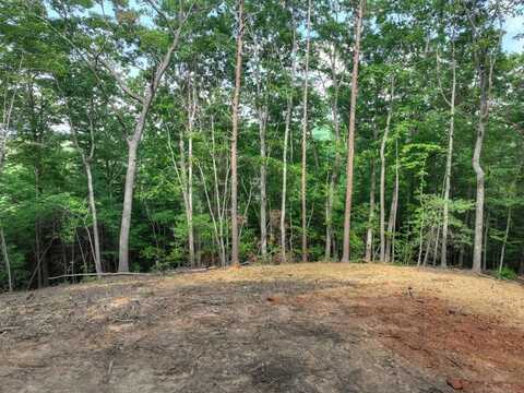 Sugar Creek Road, Blue Ridge, GA 30513