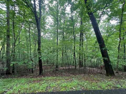 Ash Branch Circle, Hayesville, NC 28904