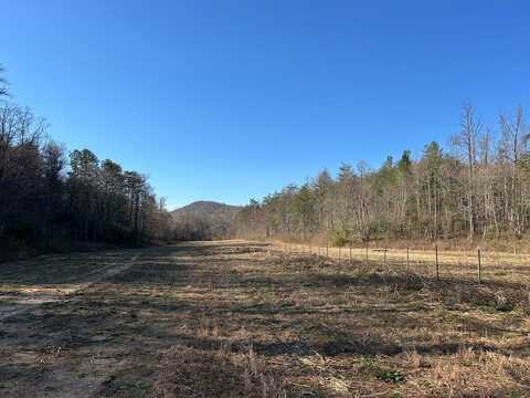 11.43 Ac Fain Branch Road, Blairsville, GA 30512