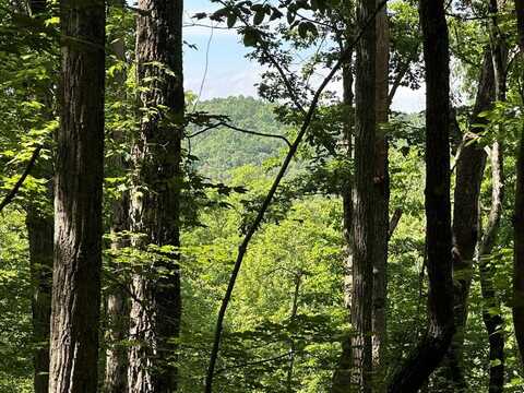 12.34 Ac Tranquility Cove Road, Ellijay, GA 30540
