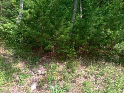 Lt 233 Stone Cliff Drive, Ellijay, GA 30536