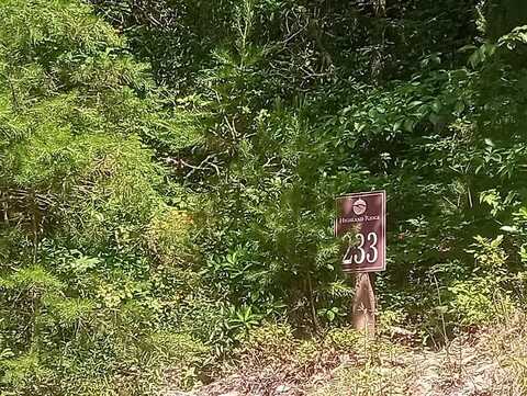 Lt 233 Stone Cliff Drive, Ellijay, GA 30536