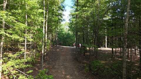 Tr C New Hope Road E, Ellijay, GA 30536
