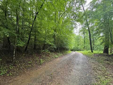 1.23 Ac Bear Run Circle, Ellijay, GA 30540