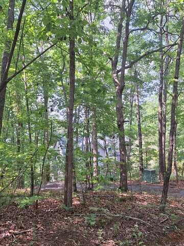 Sunrock Mountain Trc, Blue Ridge, GA 30513