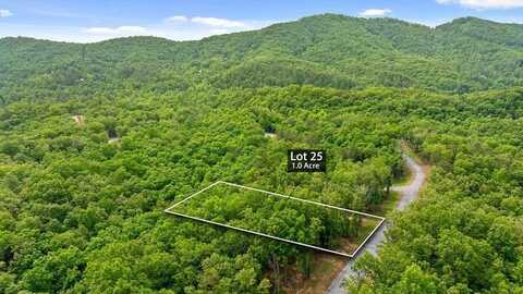 Lot 25 Crestview Point, Mineral Bluff, GA 30559