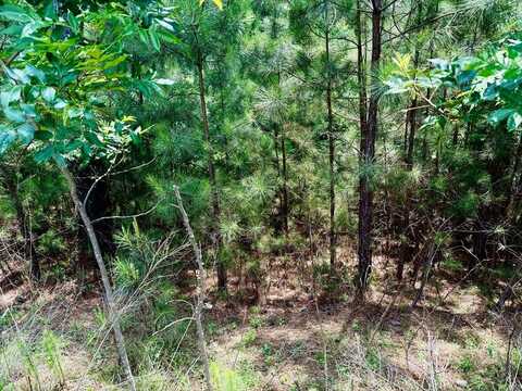 267 Garden Street, Blairsville, GA 30512