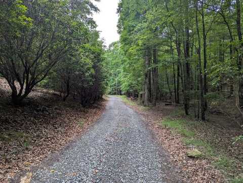 Wildwood Trail, Ellijay, GA 30540
