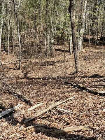 Tr 2 New Hope Road E, Ellijay, GA 30536