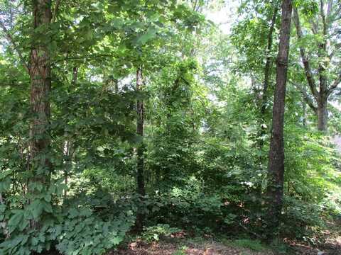 74a Licklog Ridge, Hayesville, NC 28904