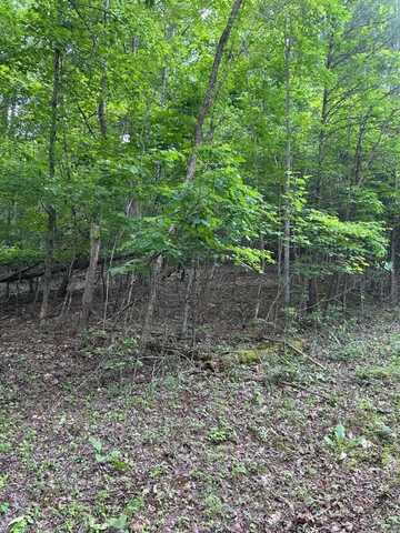1 White Eagle Road, Hiawassee, GA 30546