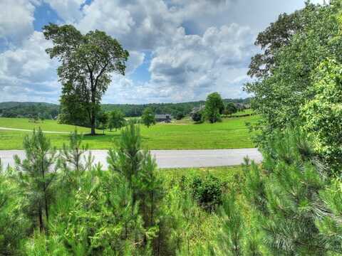 Lot 141 Fox Lake, Blairsville, GA 30512