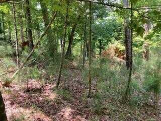 Lt 3041 Parnell Drive, Ellijay, GA 30540