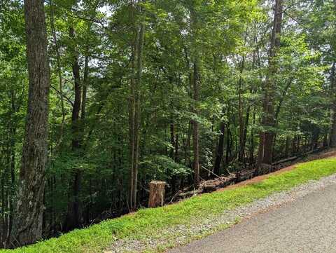 Lot A28 Laurel Ridge, Ellijay, GA 30536