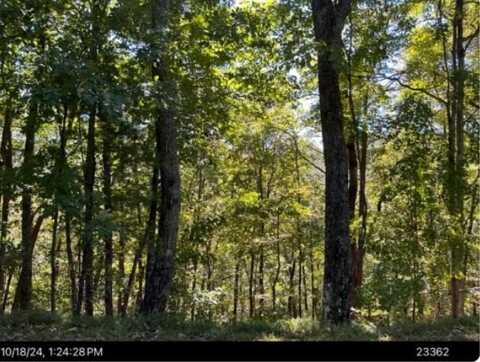 Lot A28 Laurel Ridge, Ellijay, GA 30536