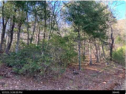 Creekview Drive, Ellijay, GA 30356