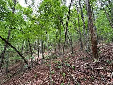 Creekview Drive, Ellijay, GA 30356
