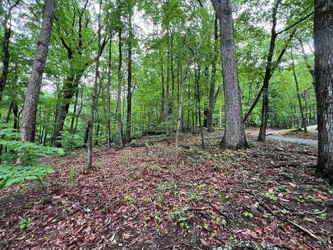 Sassafras Court, Jasper, GA 30143