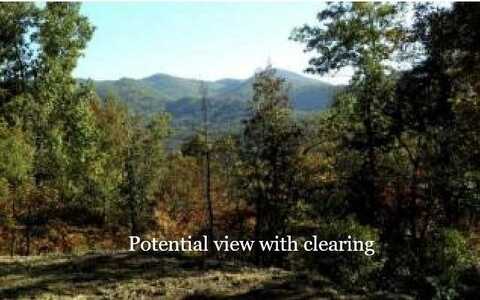 #9 Pounding Mill Overlook, Hayesville, NC 28904