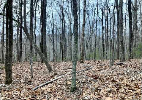 Tract 21 Old Parker Terrace, Ellijay, GA 30540