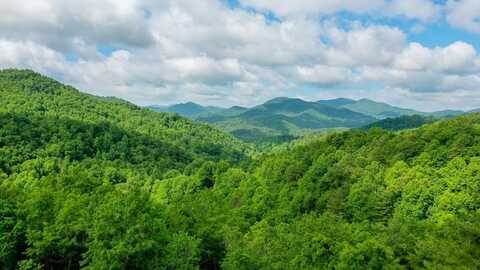 1515 Briartown Church Road, Topton, NC 28781