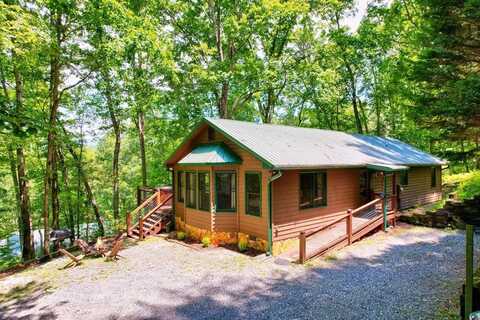 307 Pigeon Creek Road, Blue Ridge, GA 30513