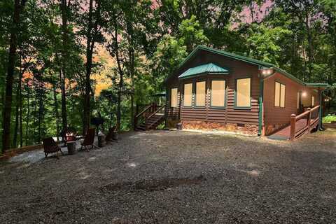 307 Pigeon Creek Road, Blue Ridge, GA 30513