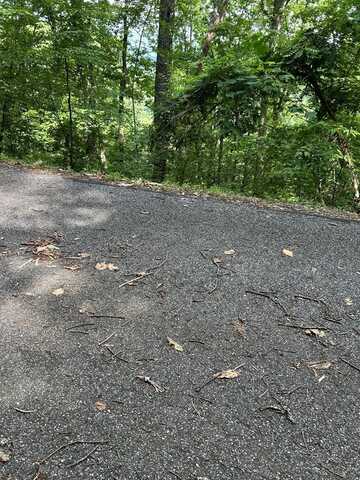 Ten Pointe Trail, Murphy, NC 28906