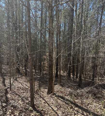 CR 172, Dumas, MS 38625