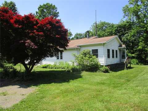 220 Daniels Avenue, Conneaut, OH 44030