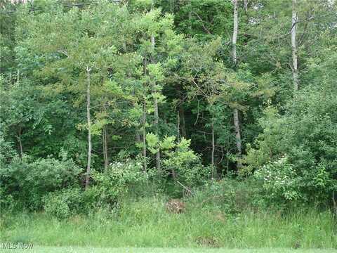 315 Morgan Terrace, Roaming Shores, OH 44084