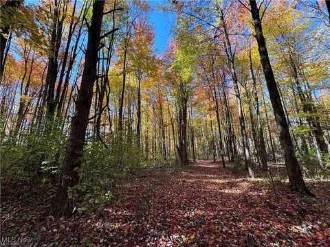 12056 Old State Road, Chardon, OH 44024