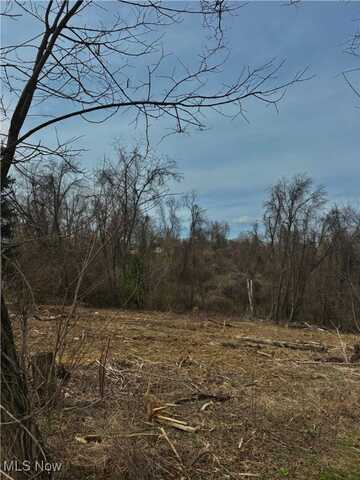 Hemingway (Inlot 3) Drive, Saint Clairsville, OH 43950