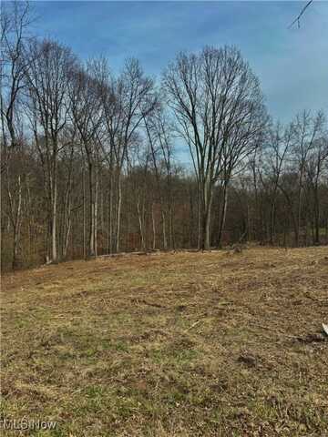 0 Hemingway (Inlot 7) Drive, Saint Clairsville, OH 43950